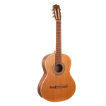 گیتار کلاسیک پارسی مدل D6
