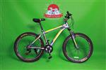 دوچرخه المپیا مدل ردبول 2021 OLYMPIA REDBULL سایز 26