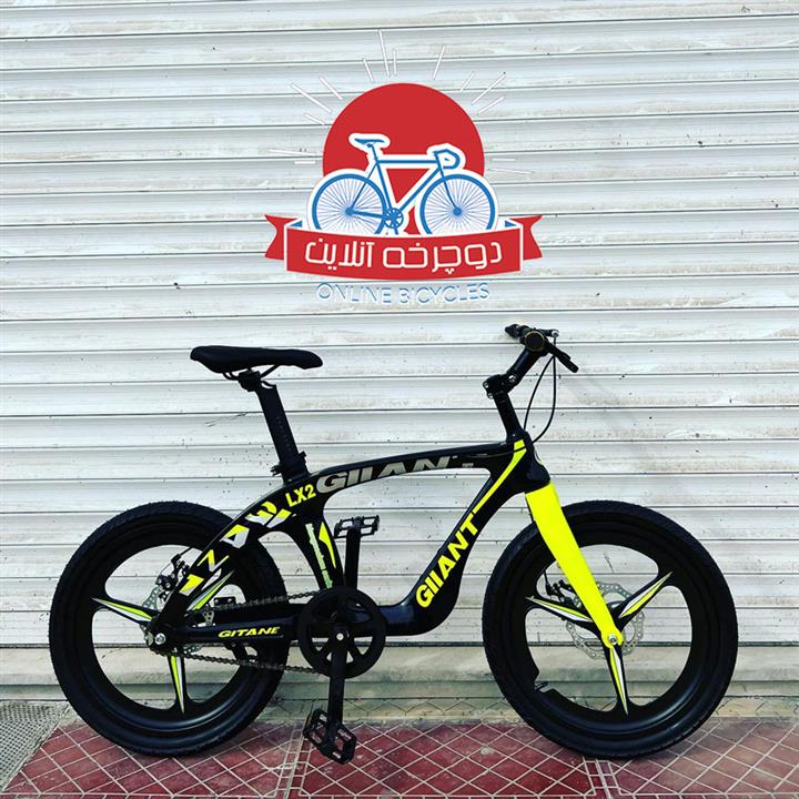 قیمت و خرید دوچرخه جاینت مدل LX2 سایز 20