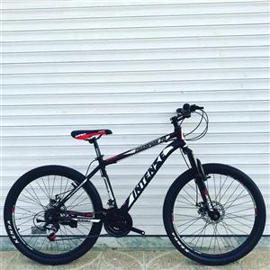 دوچرخه کوهستان اینتنس مدل چمپیون Champion سایز 26