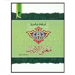 کتاب ترجمه و شرح مغنی الادیب اثر سید علی حسینی انتشارات دارالعلم جلد 3