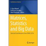 کتاب Matrices, Statistics and Big Data اثر جمعی از نویسندگان انتشارات Springer