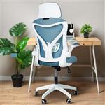 صندلی اداری ارگونومیک DROGO برای کار از خانه با صندلی قابل تنظیم ارتفاع، صندلی مطالعه کامپیوتری با پشت بلند، تکیه گاه بازو، تکیه دادن، پشتیبان سر و کمر | صندلی مش برای دفتر (Marshal Pro Teal)