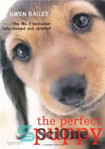 دانلود کتاب The Perfect Puppy: Take Britain’s Number One Puppy Care Book with You! – توله سگ کامل: کتاب شماره...