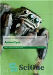 دانلود کتاب Animal Eyes – چشمان حیوانات