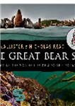 دانلود کتاب The Great Bear Sea. Exploring the Marine Life of a Pacific Paradise – دریای خرس بزرگ. کاوش در...