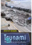 دانلود کتاب Tsunami. Perspectives on Tsunami Disasters – سونامی چشم انداز بلایای سونامی