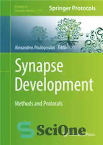 دانلود کتاب Synapse Development: Methods and Protocols – توسعه سیناپس: روش ها و پروتکل ها