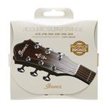  سیم گیتار Ibanez Acoustic Steel Strings 12/53 – IACSP6C