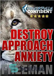 دانلود کتاب Destroy Approach Anxiety: Being Fearlessly Confident with Women – اضطراب رویکرد را از بین ببرید: اعتماد به نفس...