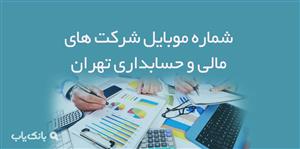 شماره موبایل شرکت های مالی و حسابداری تهران