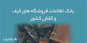 اطلاعات فروشگاه های کیف و کفش کشور