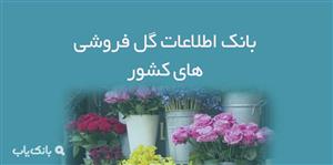 اطلاعات گل فروشی های کشور