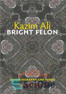 دانلود کتاب Bright Felon: Autobiography and Cities – Bright Felon: Autobiography and Cities 