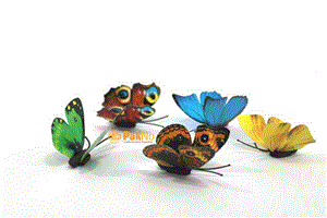 پروانه تزئینی ۸ عددی (مگنتی)