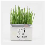 علف گربه (چمن گربه)؛ مدل Cat Grass (100 گرم)