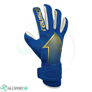 دستکش دروازه بانی راش Reusch Pure Contact Fusion 5270905-4026