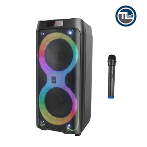 اسپیکر پارتی HOCO DS41 2*8 MIC 60CM