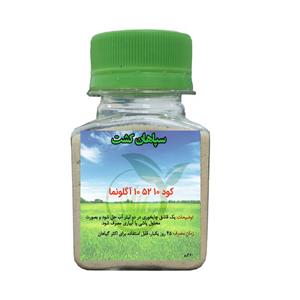 کود 10 52 10 گیاه آگلونما 60 گرم