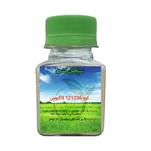 کود 121236 کاکتوس 60 گرم