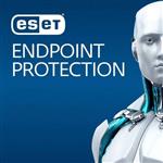 لایسنس آنتی ویروس نسخه سرور ESET Endpoint
