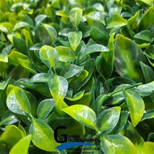 دیوار سبز مصنوعی مدل ریحون