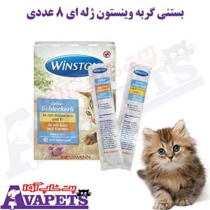 بستنی گربه وینستون مدل ژله ای