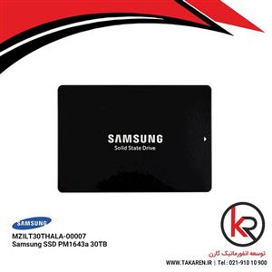 اس اس دی سرور SAMSUNG PM1643a SSD 30.72TB SAS 12G MZILT30THALA-00007