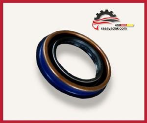 کاسه نمد پلوس آریو اتومات