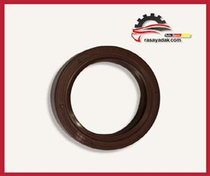 کاسه نمد پلوس آریو دنده ای