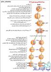 تقسیم یاخته