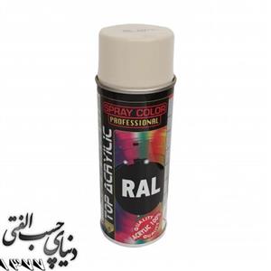 اسپری رنگ نقره ای اکو سرویس 9006 Eco Service RAL Spray Color