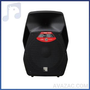 باند اکتیو 10 اینچ زیکو Zico VX-100