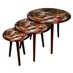 میز عسلی سه تکه چوبی کاخ الیزه لوتوس کد SET OF 3 NESTING TABLES-T-735 GIA ELYSEE سایز L : 54X61X53 M:42X48X48 S:31X35X43 سانتیمتر رنگ قهوه ای