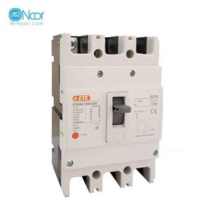 کلید اتوماتیک غیرقابل تنظیم بزرگ 160A برند ETE