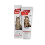 خمیر مالت گربه بیوفلاین BioFeline Anti Hairball Malt Paste وزن 100 گرم