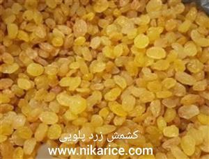 کشمش زرد پلویی نیکا رایس