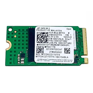 اس اس دی 256GB میکرون 2450