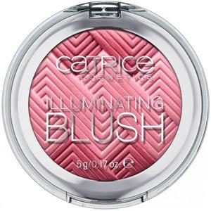    رژ گونه مدل Illuminating 030 کاتریس