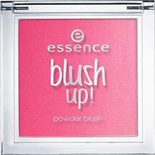    رژ گونه مدل Blush Up 20 اسنس