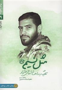 کتاب مثل نسیم: زندگینامه شهید سید احسان حاجی حتم لو - اثر اعظم السادات حسینی 