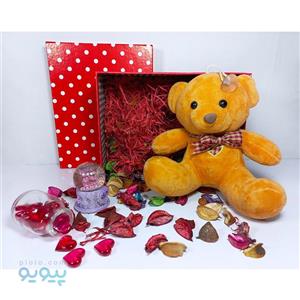 کادو ولنتاین دخترانه با عروسک خرس پاپیونی