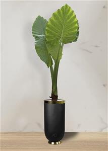 بابا آدم جاینتگلدان فایبر گلاس استوانه ای (*)
