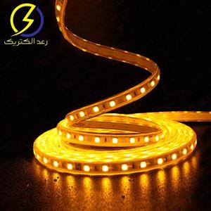 ریسه ال ای دی انبه ایی ۲۲۰ ولت ۲۸۳۵ تراکم ۶۰ لوپ لایت