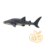 فیگور کوسه نهنگ موجو Whale Shark 381038
