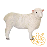 فیگور گوسفند رامنی میش موجو Romney Sheep (Ewe) 381064 