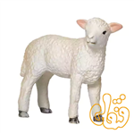 فیگور بره رامنی ایستاده موجو Romney Lamb Standing 381065