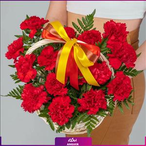 سبد گل میخک قرمز کوچک