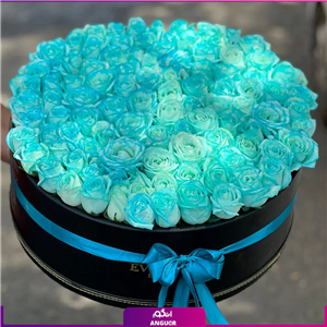 باکس گل رز (100 شاخه رز آبی هلندی)