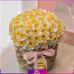 باکس گل نرگس 40 شاخه‌ای
